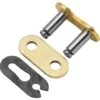 Pro Taper Gold Series PT 428 MX Chain Link